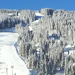 Bed & Breakfast 7 Flachau