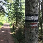 7 Bed & Breakfast Flachau