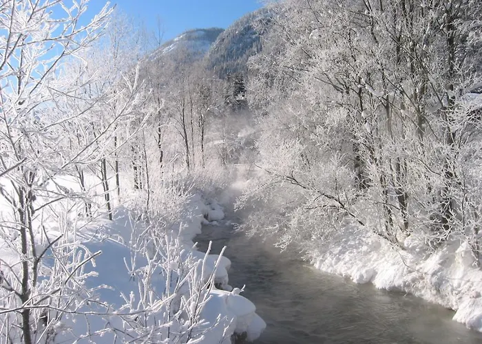 住宿加早餐酒店 7号别墅旅馆 弗拉绍