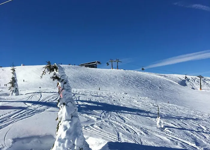 住宿加早餐酒店 7号别墅旅馆 弗拉绍