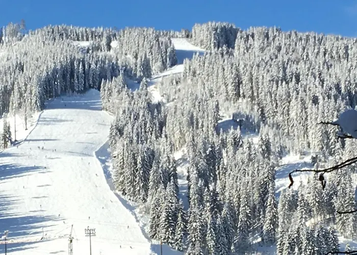 Bed & Breakfast 7 Flachau