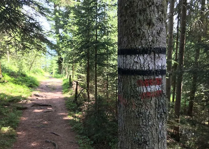 7 Bed & Breakfast Flachau